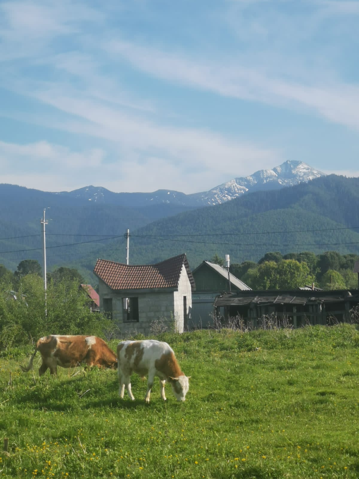 Фото Домик у озера