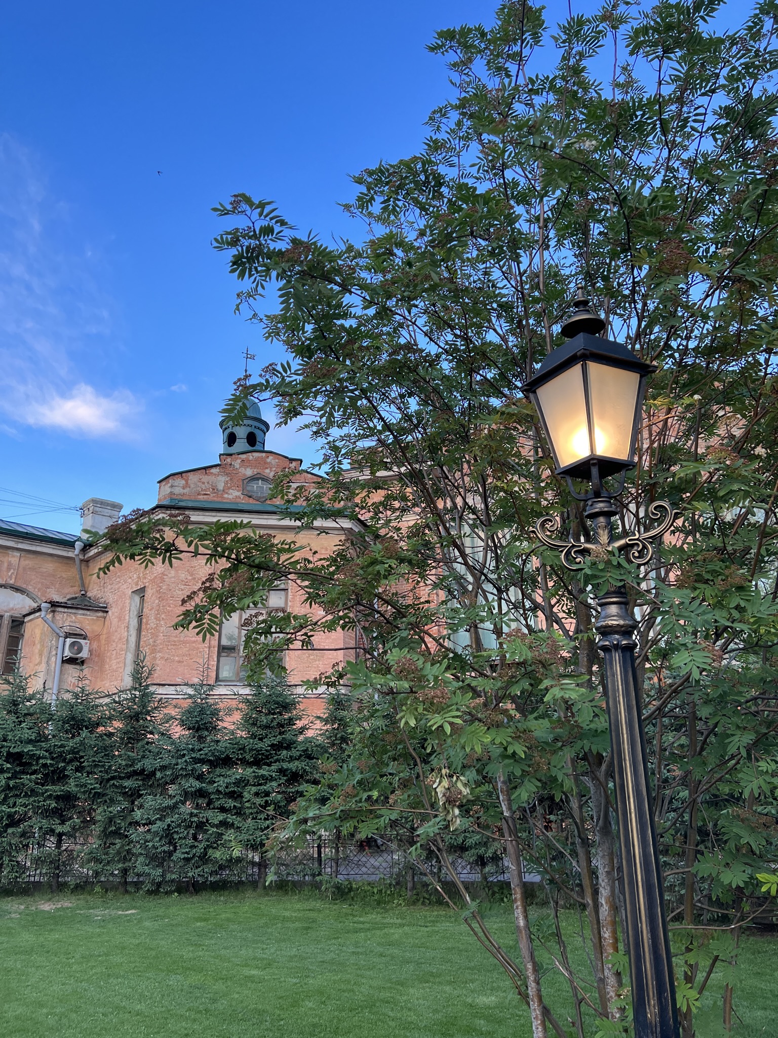 Фото Аристократ