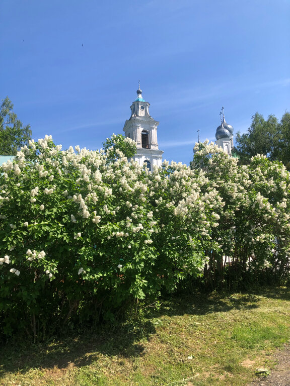 Православный храм Церковь Успения Пресвятой Богородицы в Балобаново, Рыбинск, фото