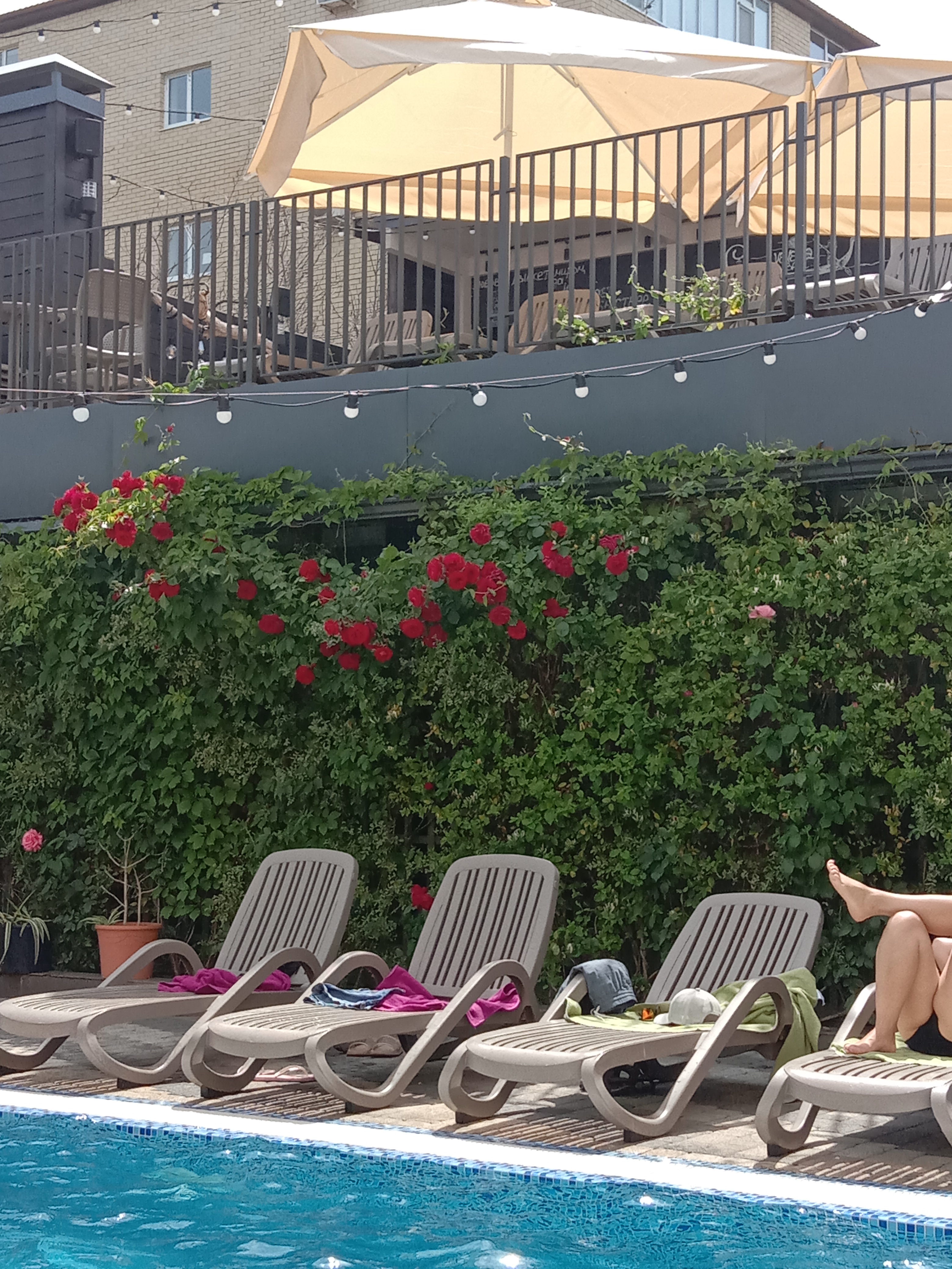 Фото Венеция