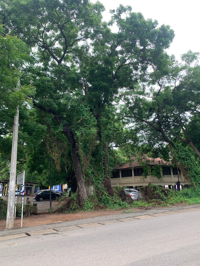 Government ministries, services Department Of Children, Accra, photo