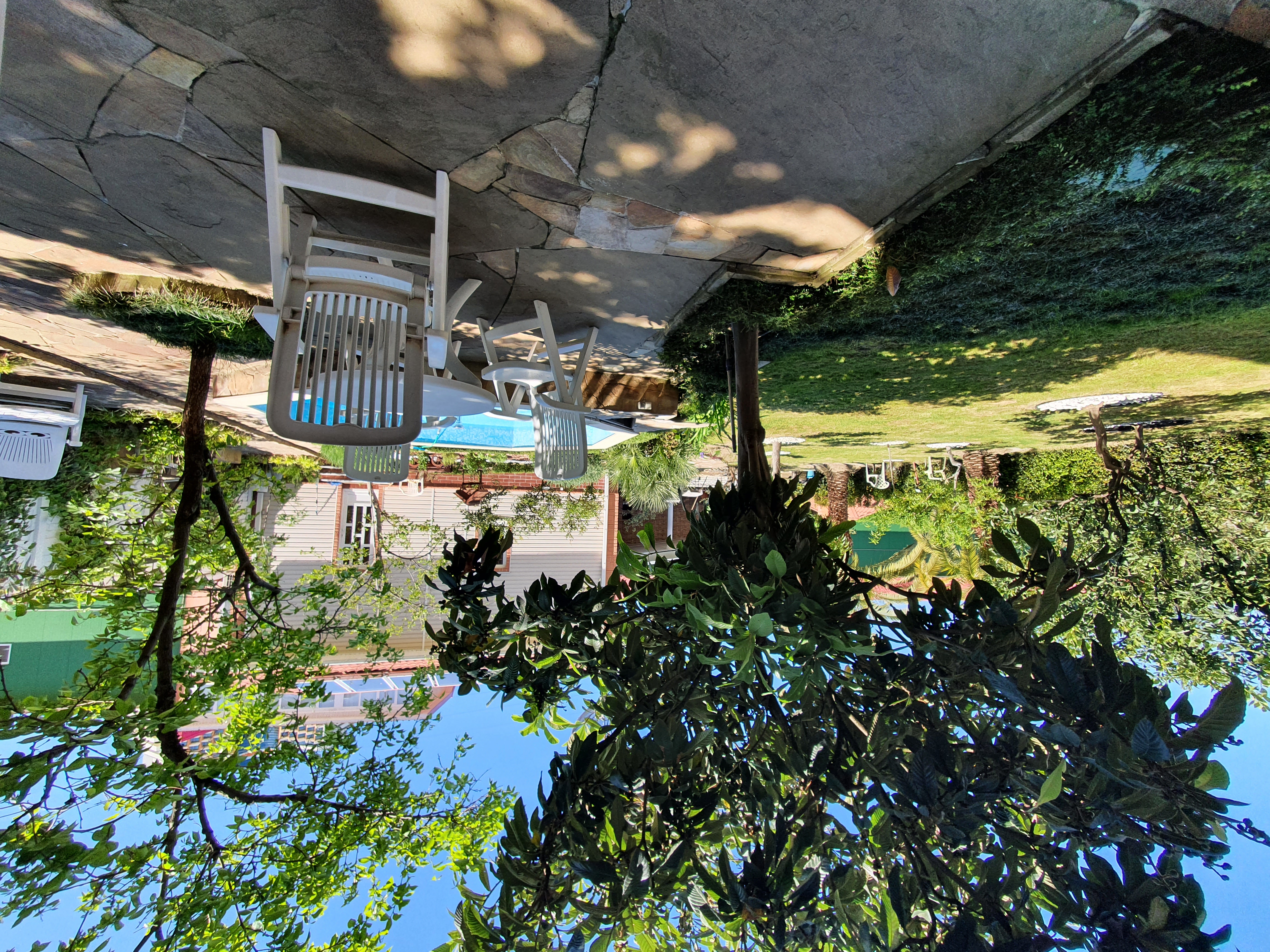 Фото Александрия