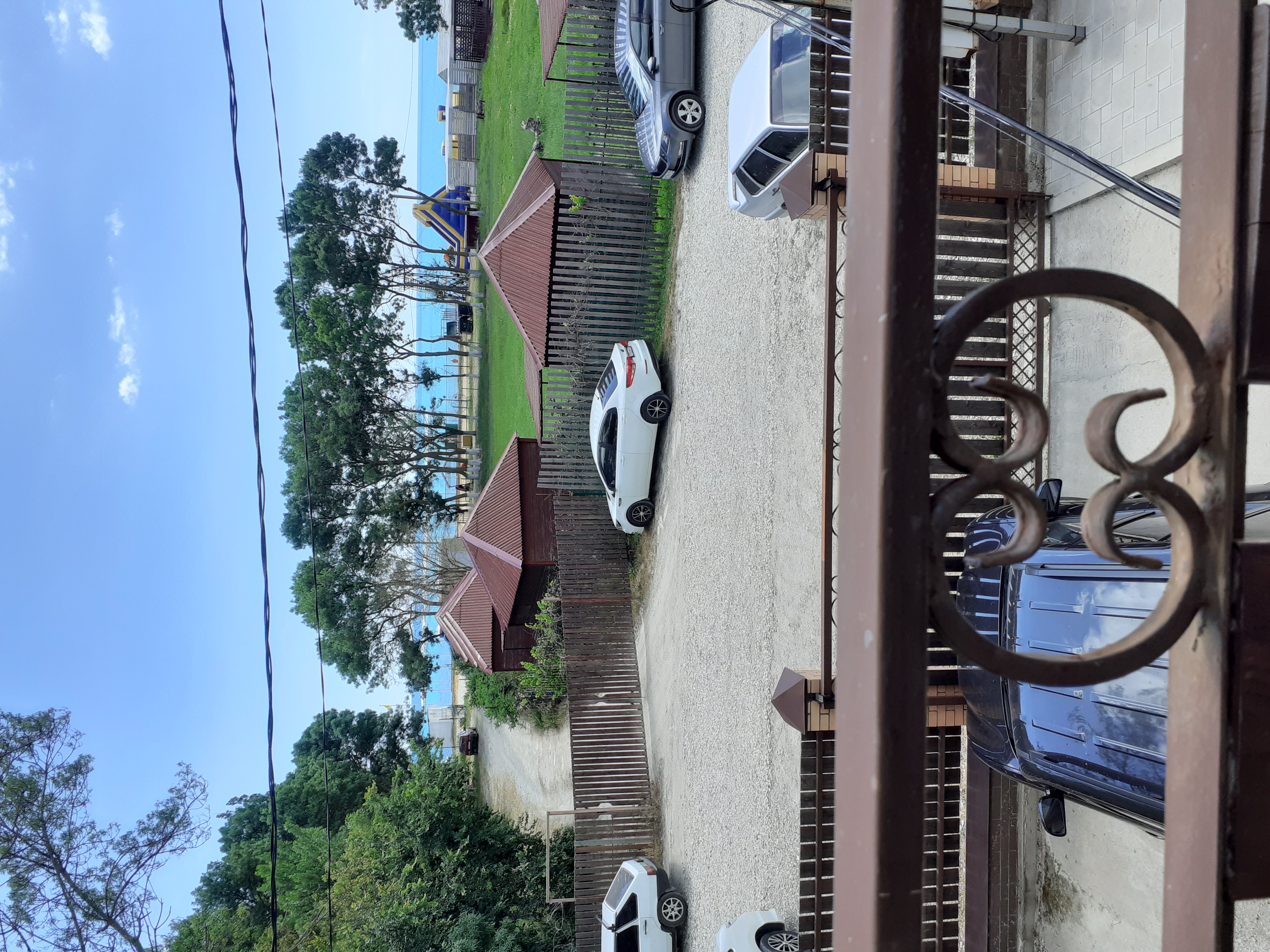 Фото Светлана