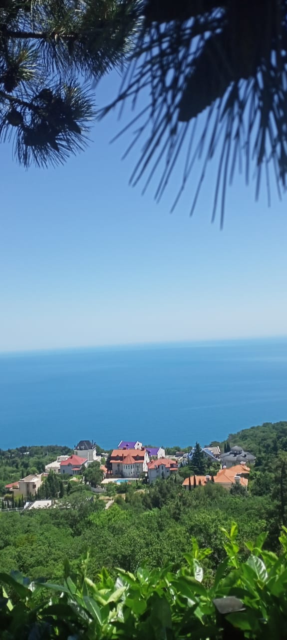 Фото Алубика