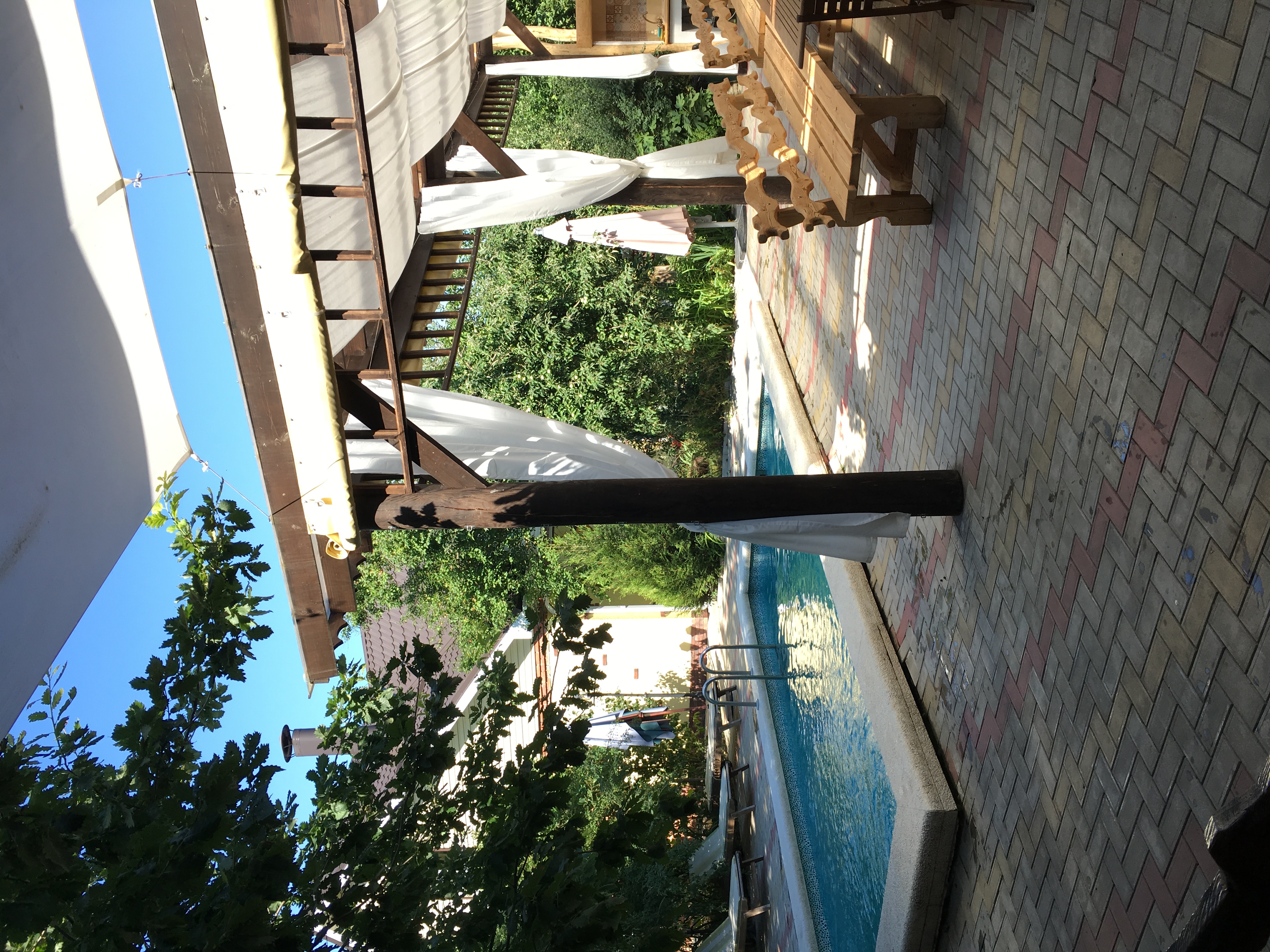 Фото Курочка Ряба