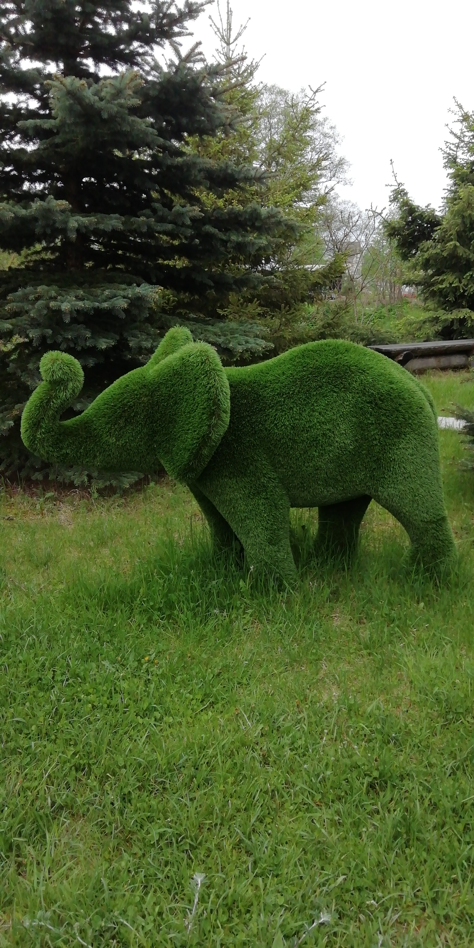 Фото Залесье