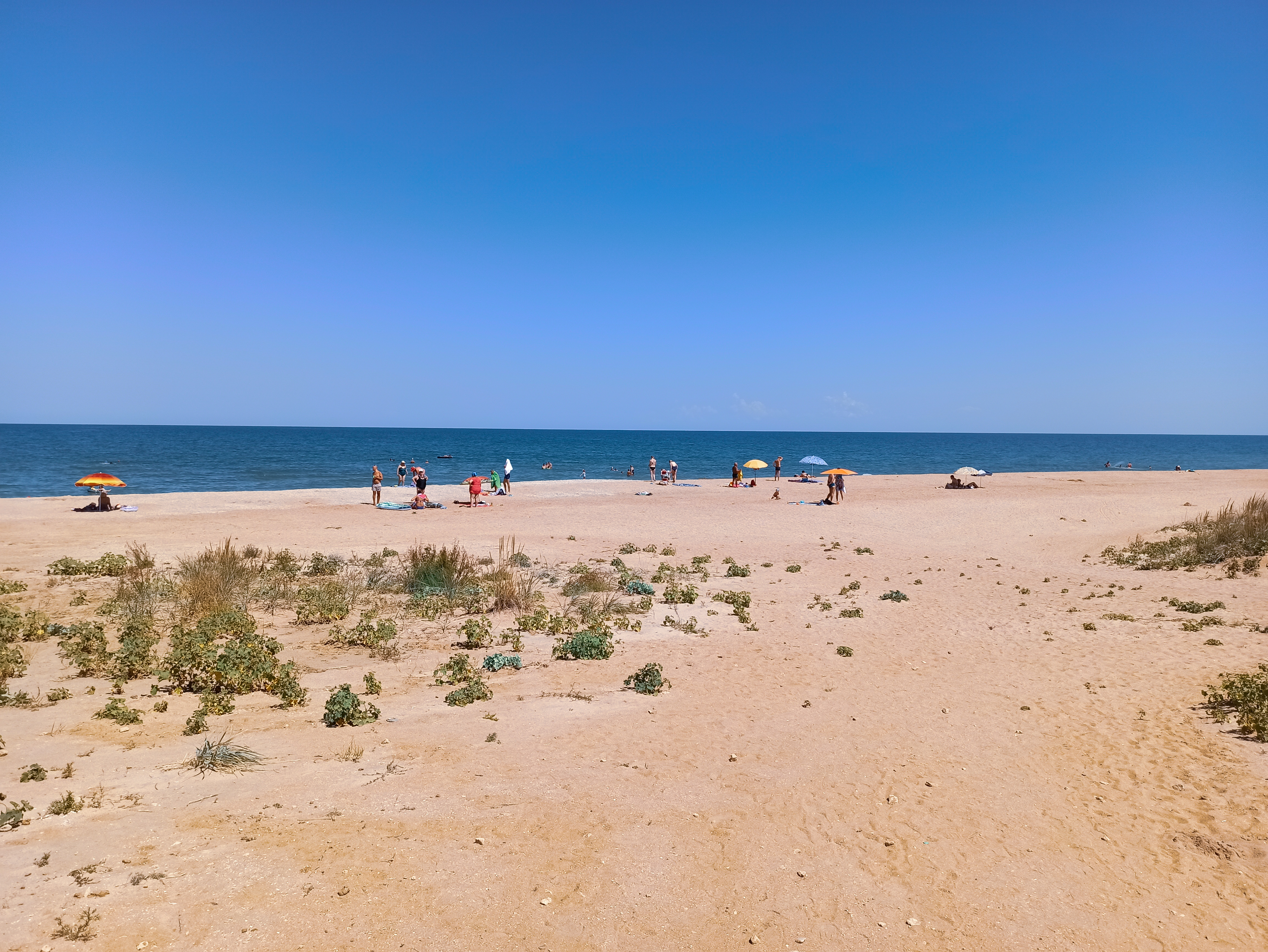 Фото Парадиз