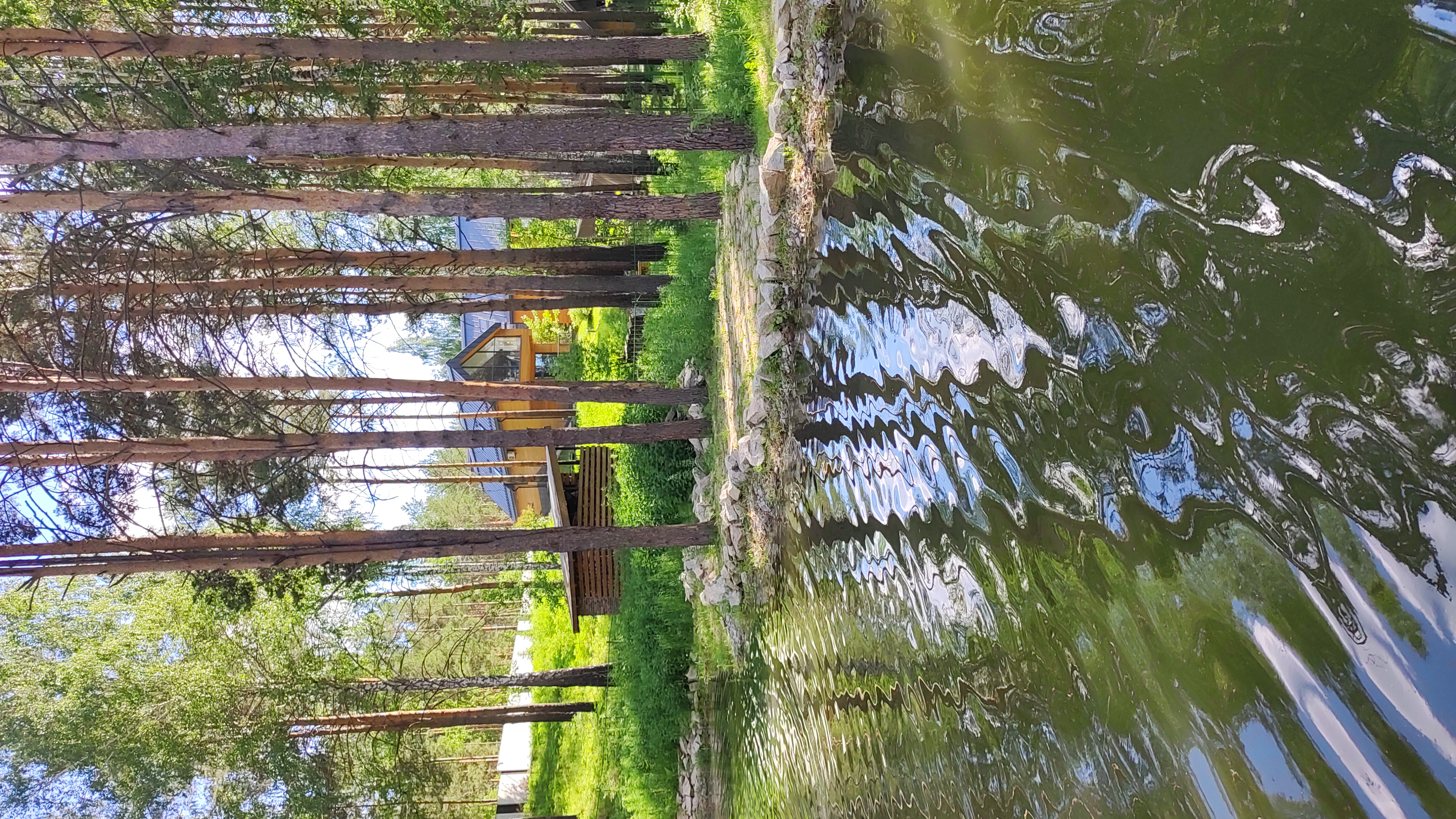 Фото Камнево