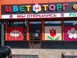 Цветторг 64 (ulitsa 30 let Pobedy, 156) ، محل زهور