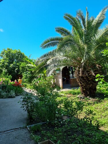 Дом отдыха Теремки в Гагре