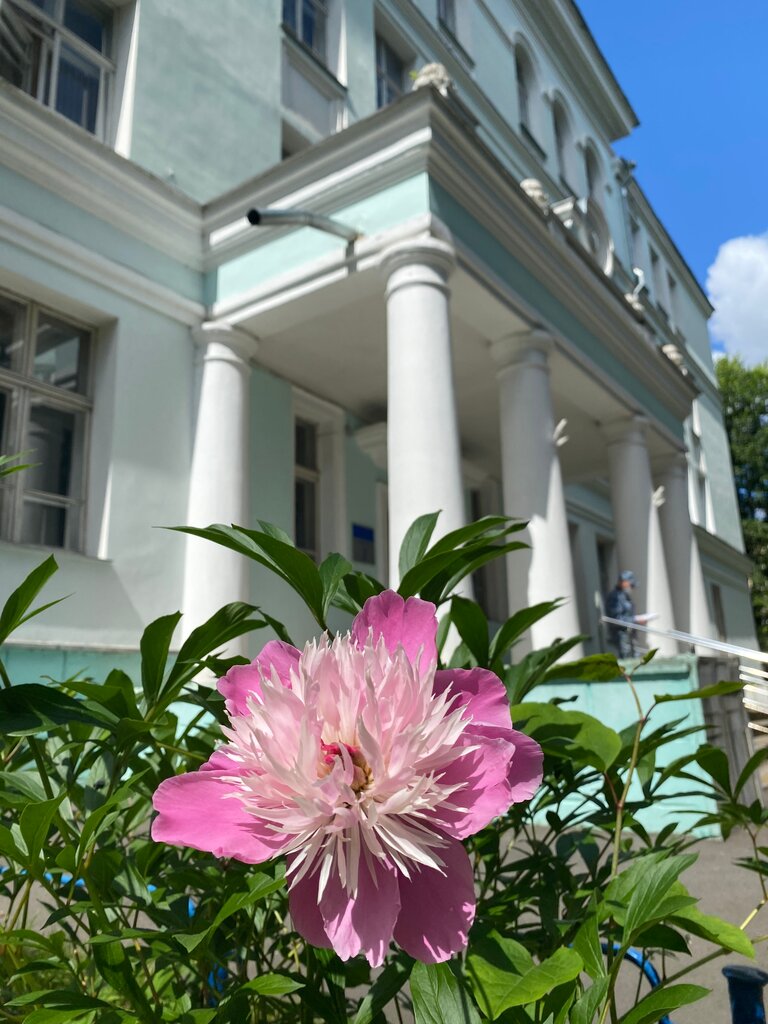 كلية، جامعة National Institute of Business ، موسكو، صورة
