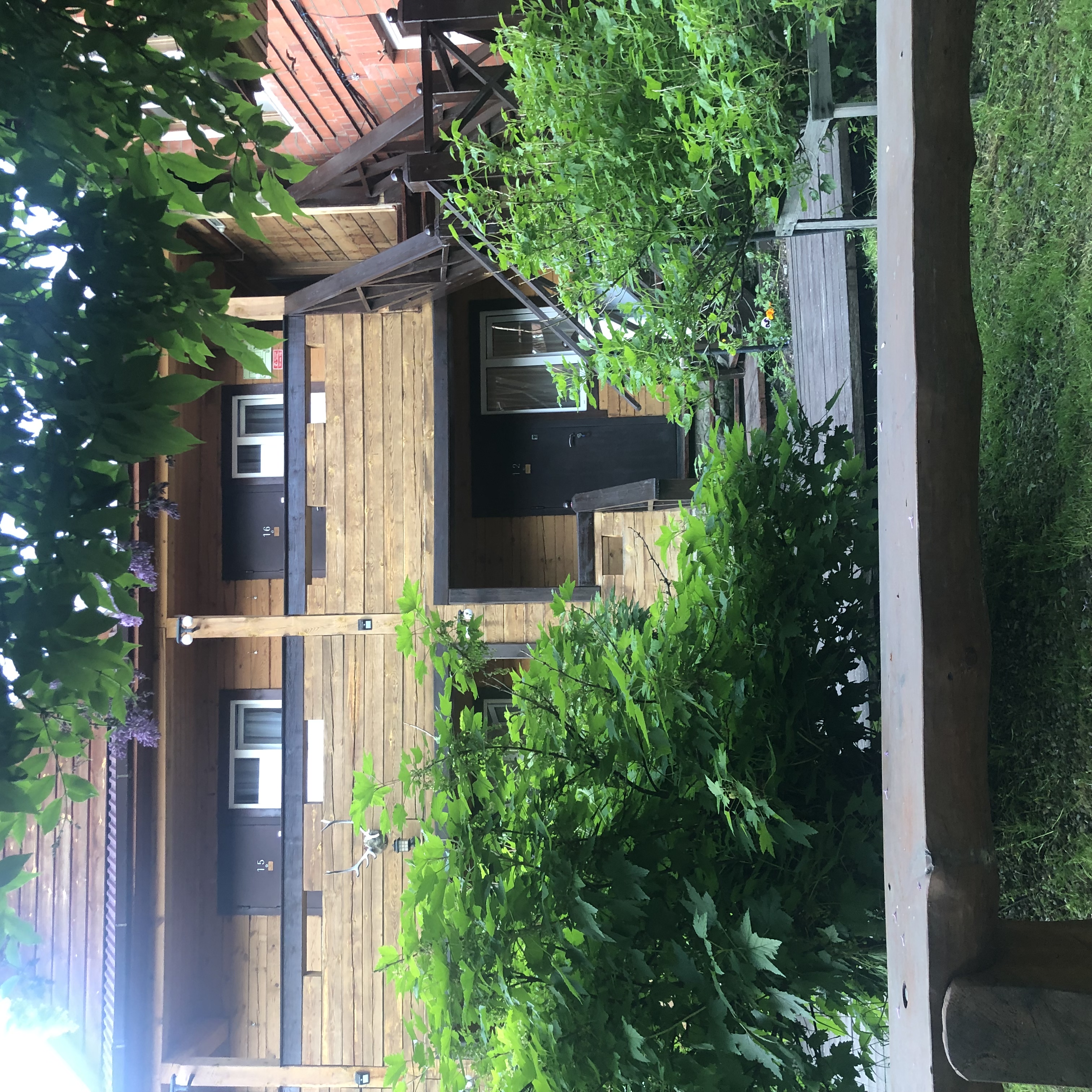 Фото Даурия