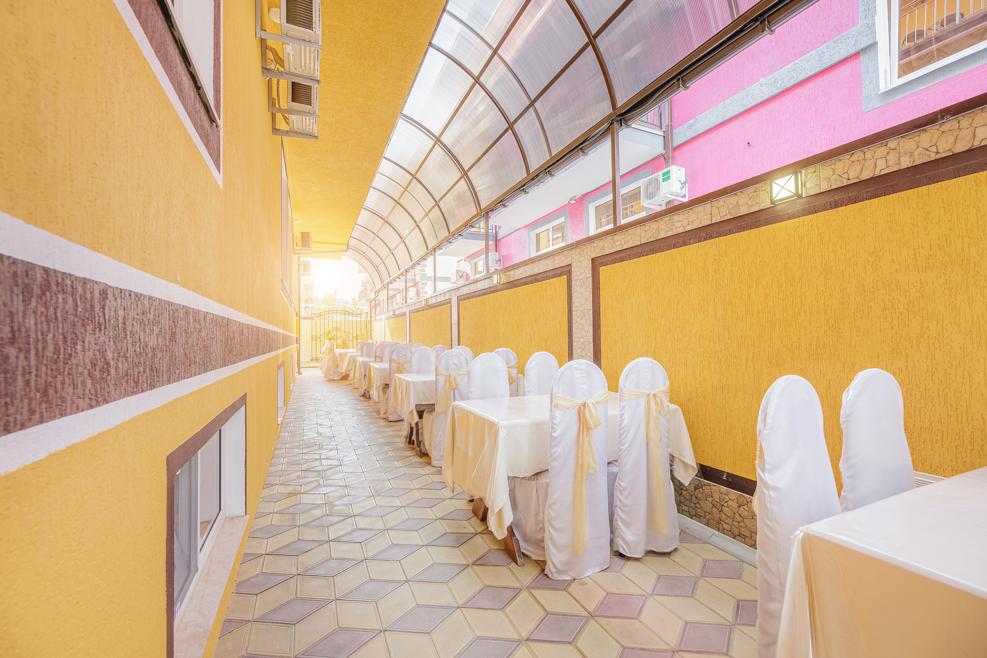 Фото Фараон