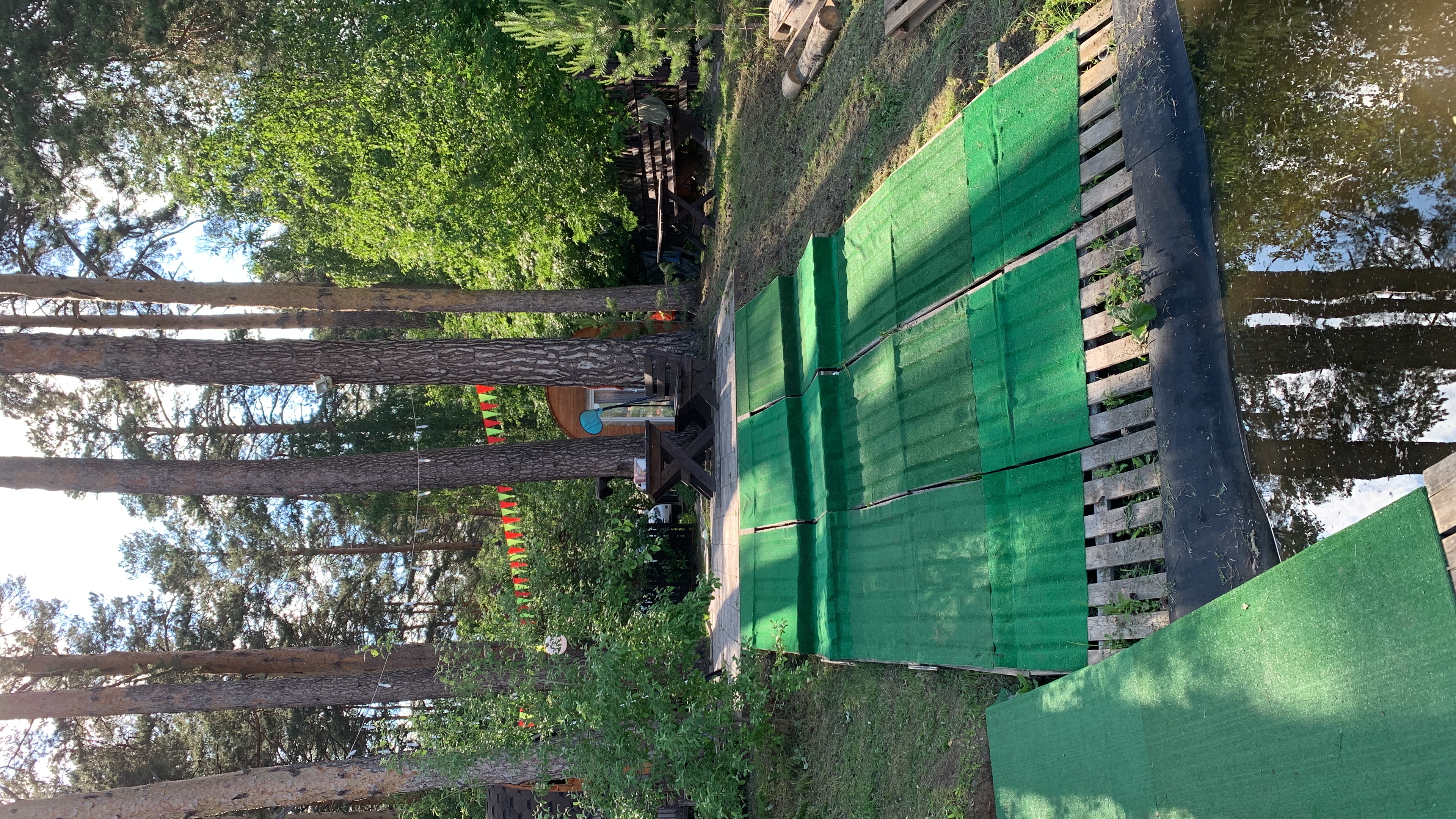 Фото Дача в соснах