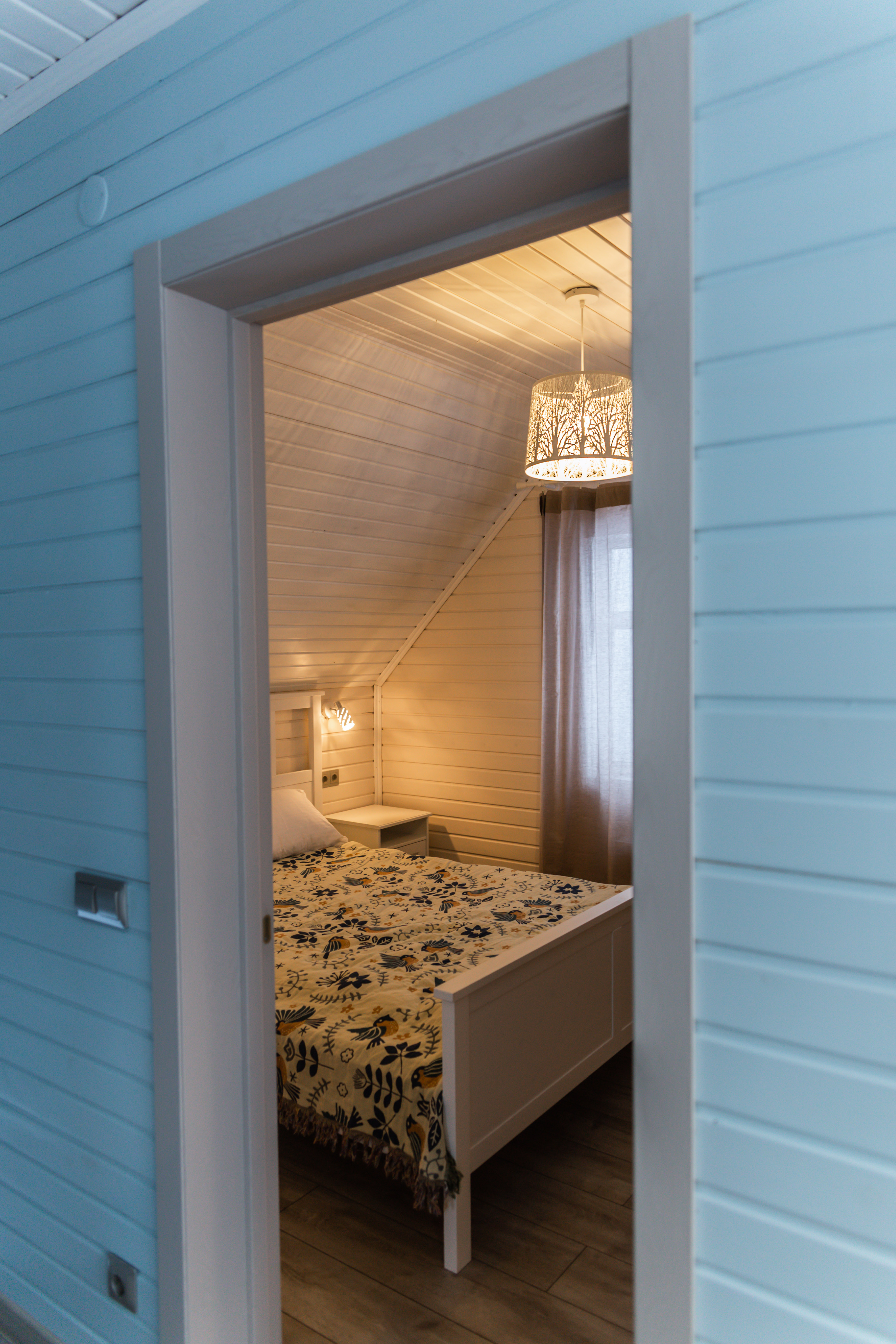 Фото Синяя синица