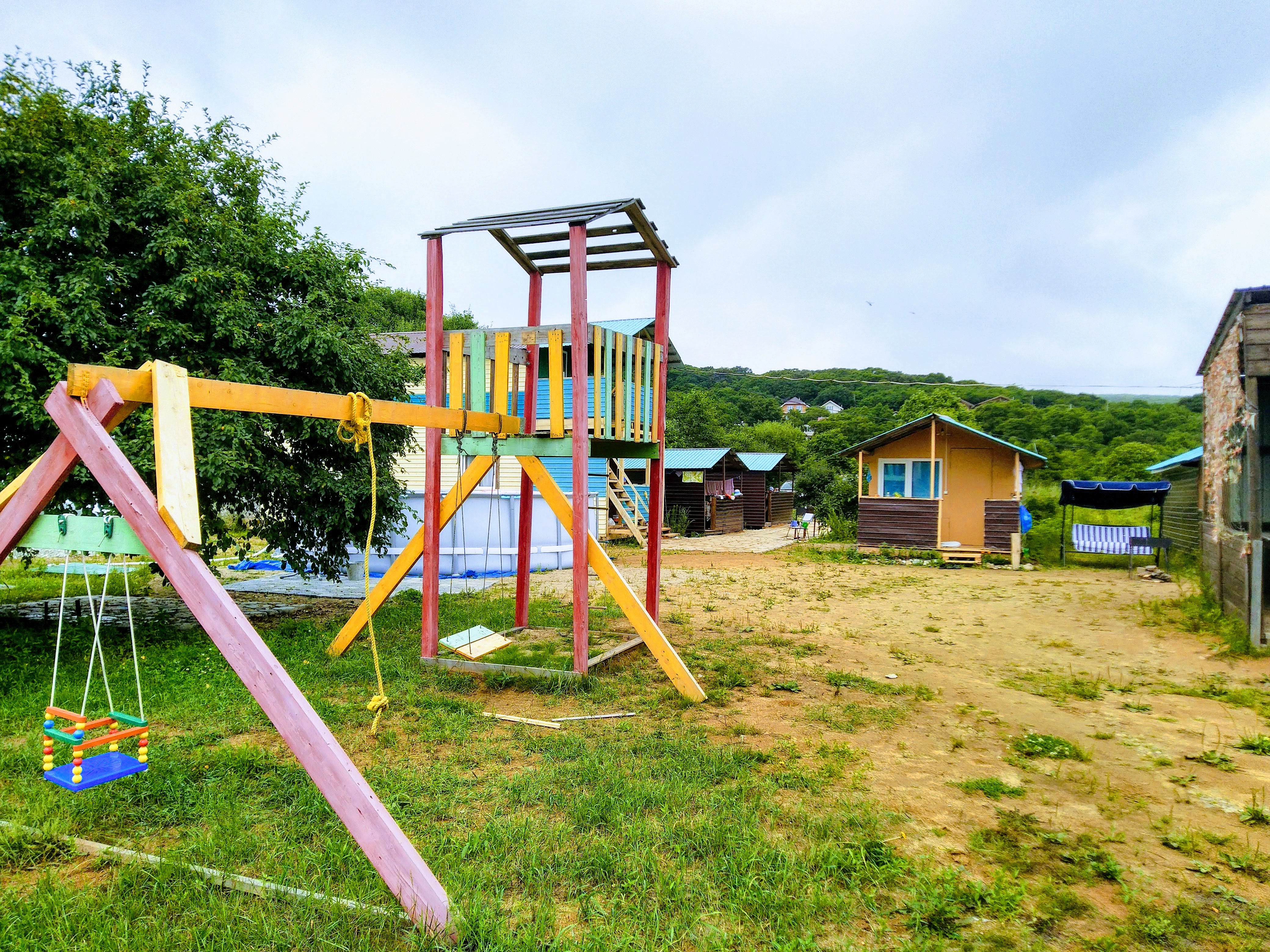 Фото Ромашка-Витязь