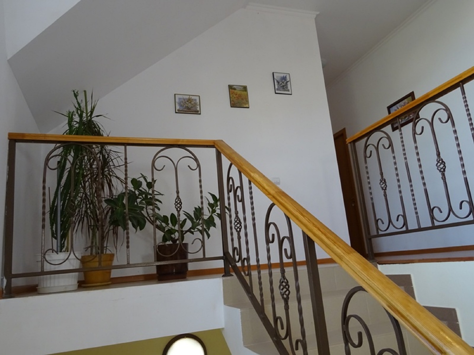 Фото Дольче вита