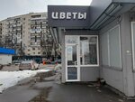 Flowers (Nezhinskaya Street, 13к3) ، محل زهور