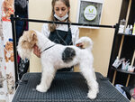 Otgroomleno (Dobrolyubova Street, 18), pet salon