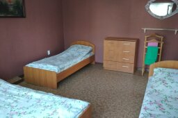 Фото Ласточка