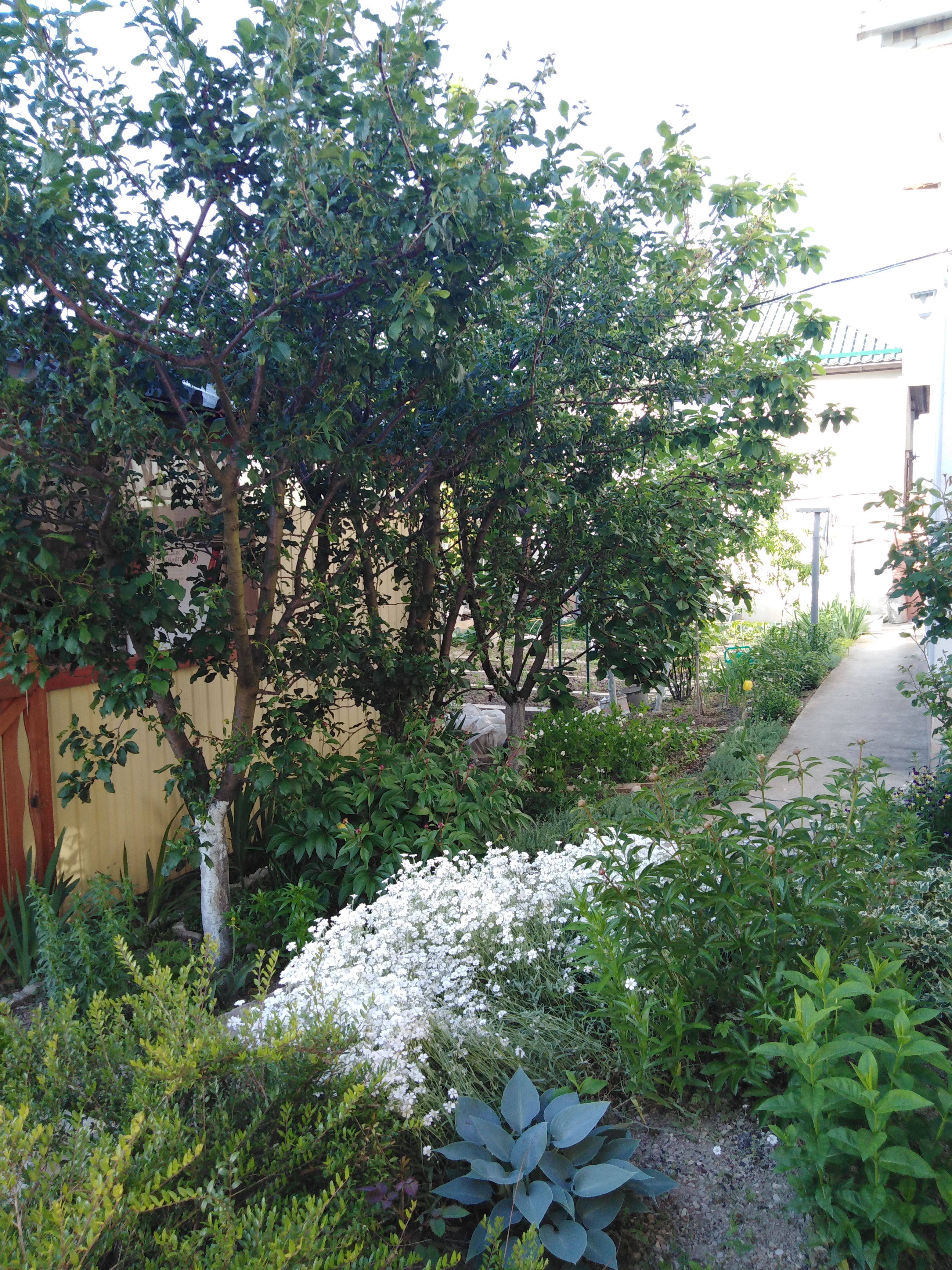 Фото Гостевой дом на Луговой 13