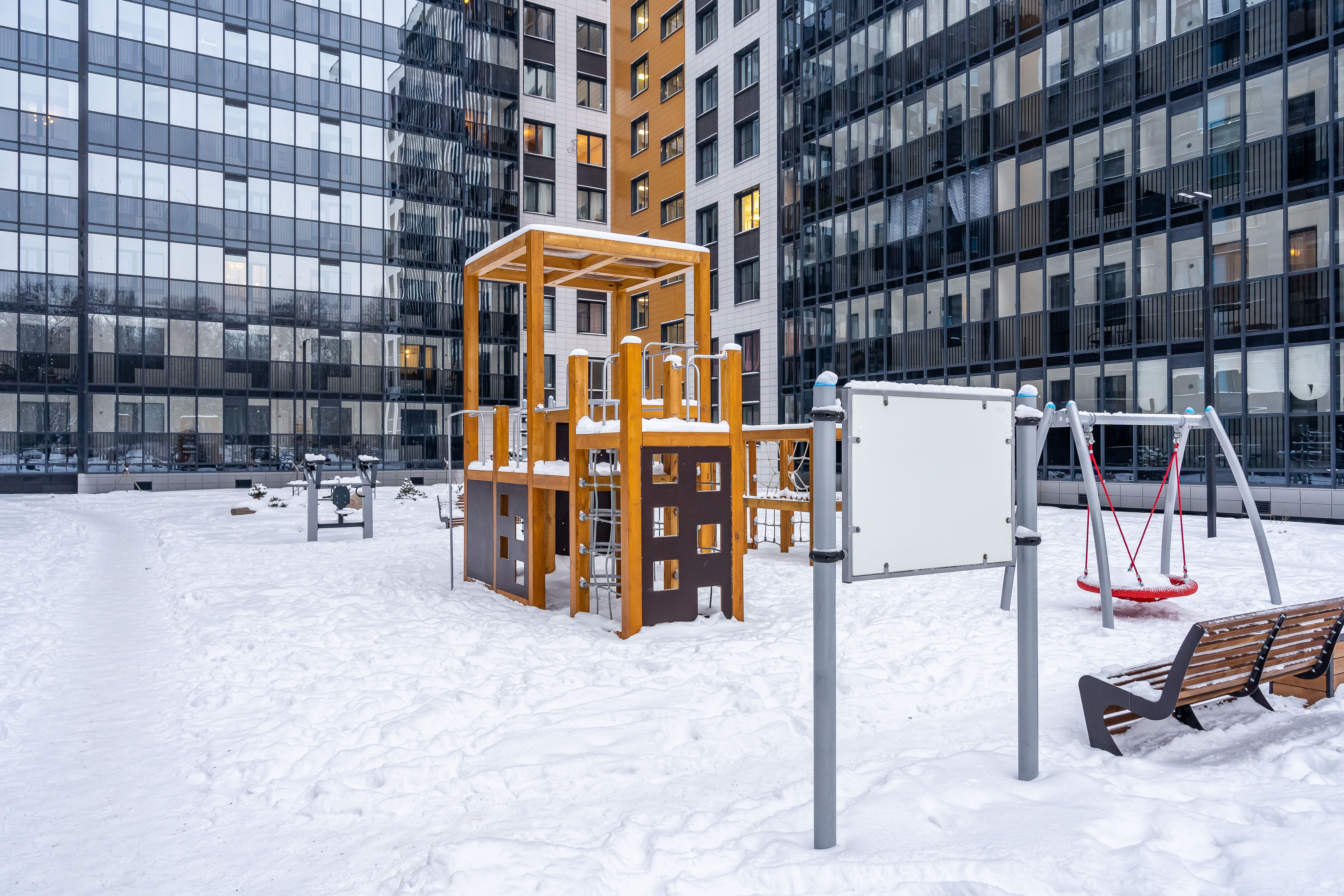 Фото Абрикосовое дерево на Старой деревне