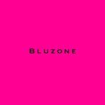 Bluzone (просп. Вахитова, 32), одежда больших размеров в Набережных Челнах