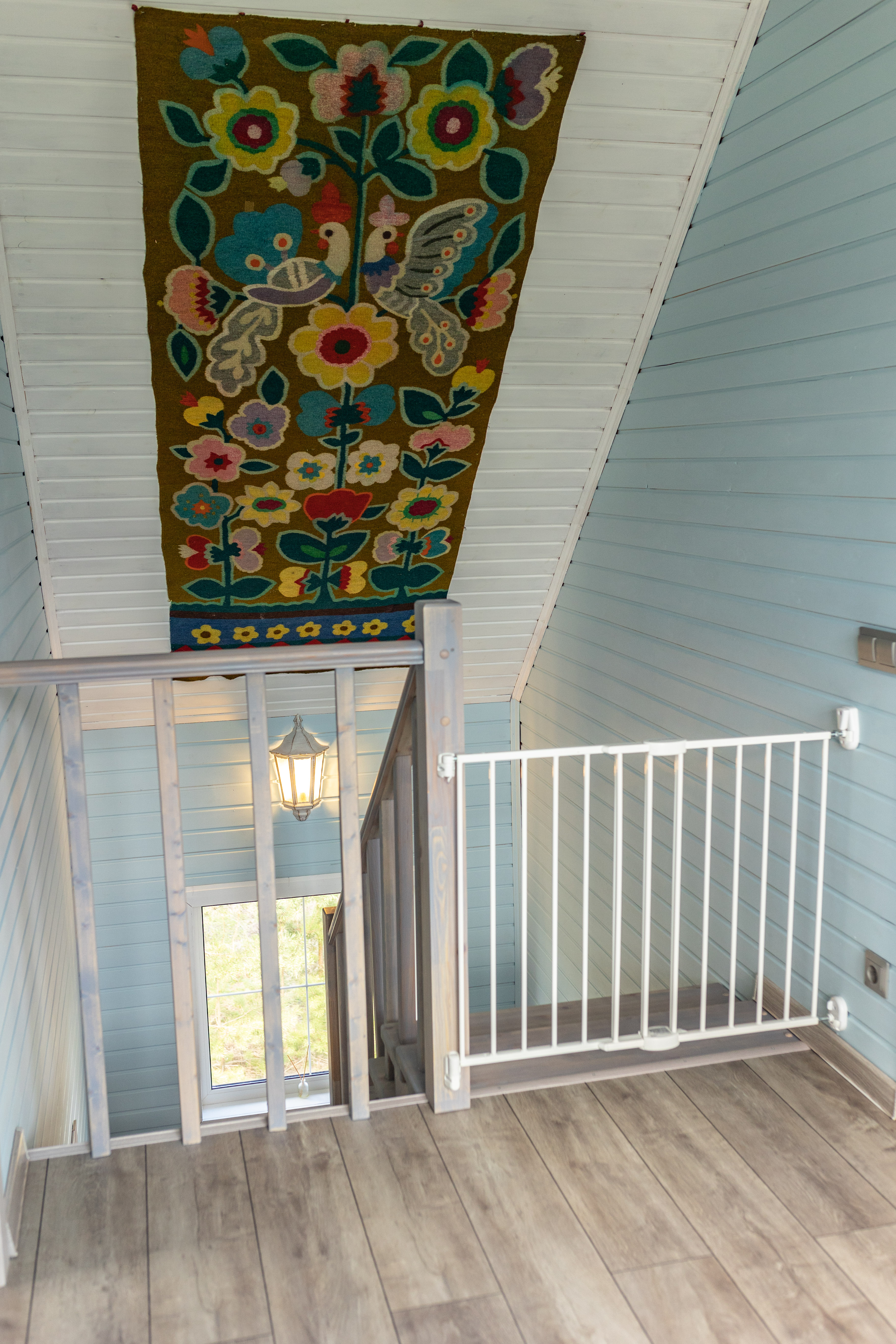 Фото Синяя синица