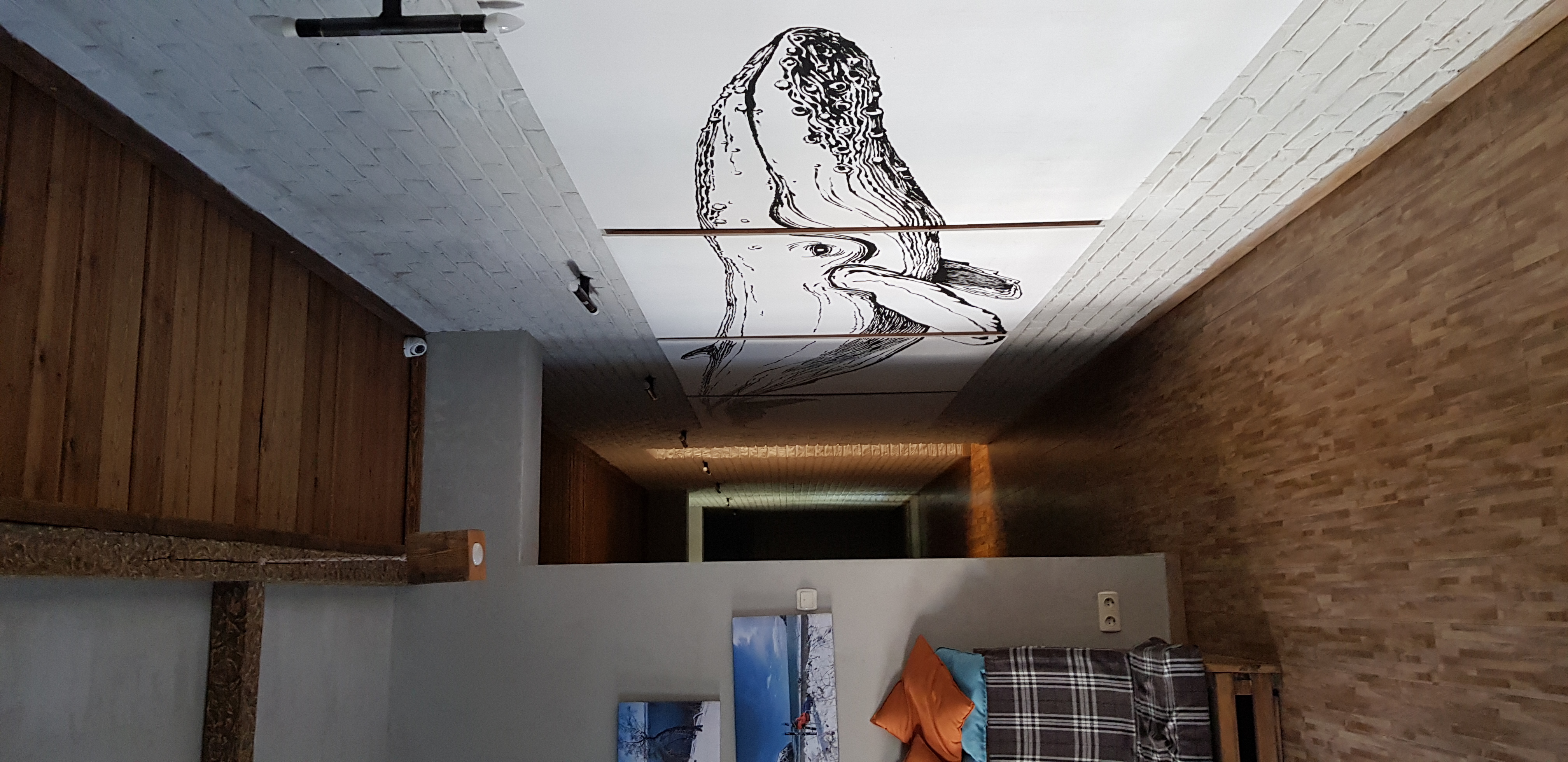 Фото Три Лыжи