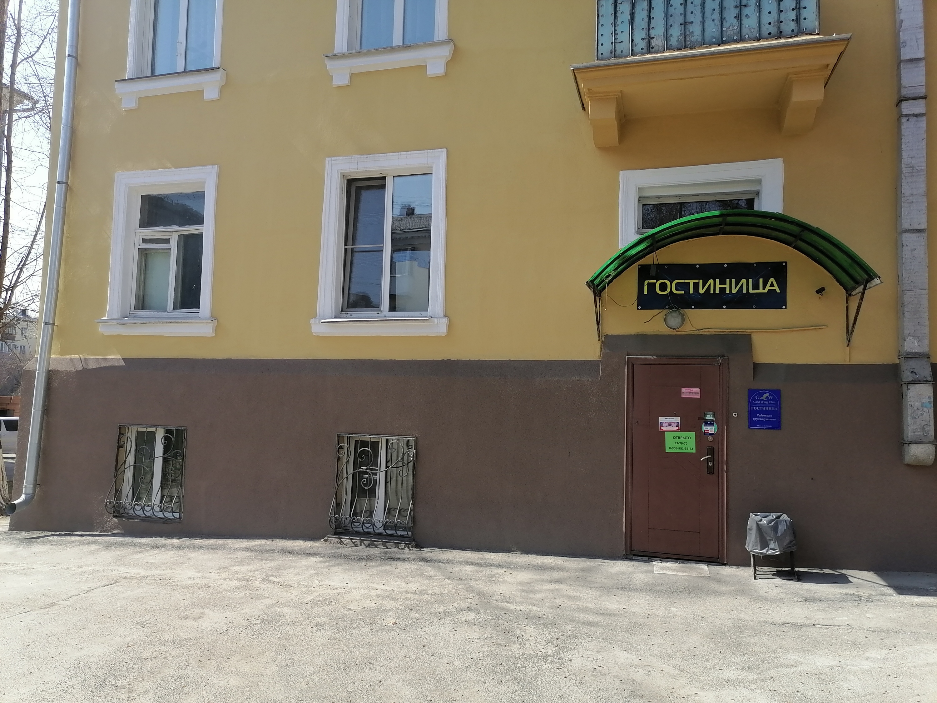 Фото Золотое крыло