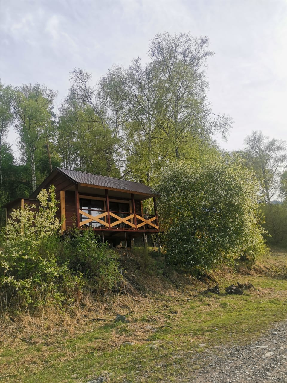 Фото Березовый Берег