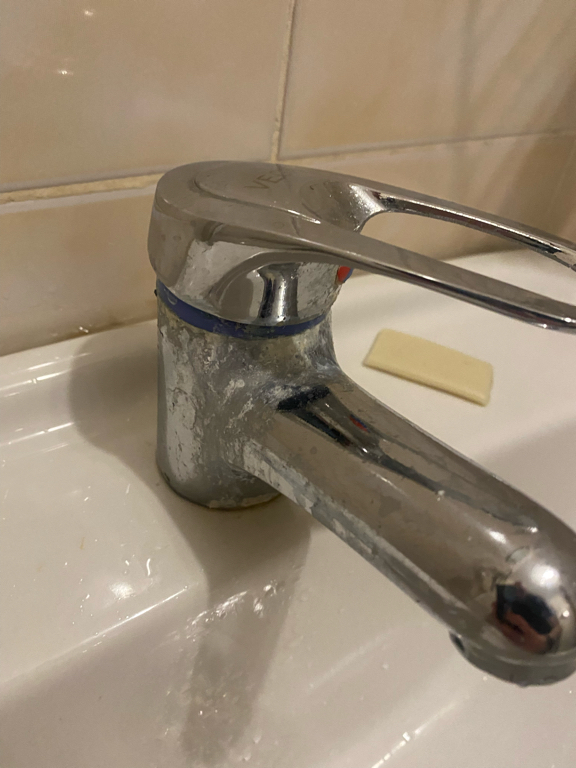 Фото Витязь