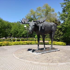 Лось (Kaliningrad Region, Sovetsk, Teatralnaya ulitsa), genre sculpture