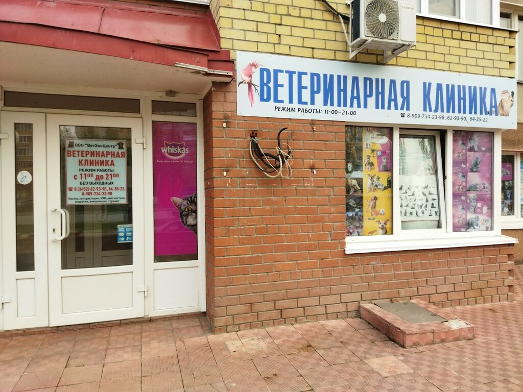 Панорама: ВетЗооЦентр, ветеринарная клиника, ул. Пермякова, 69, Тюмень - Яндекс 