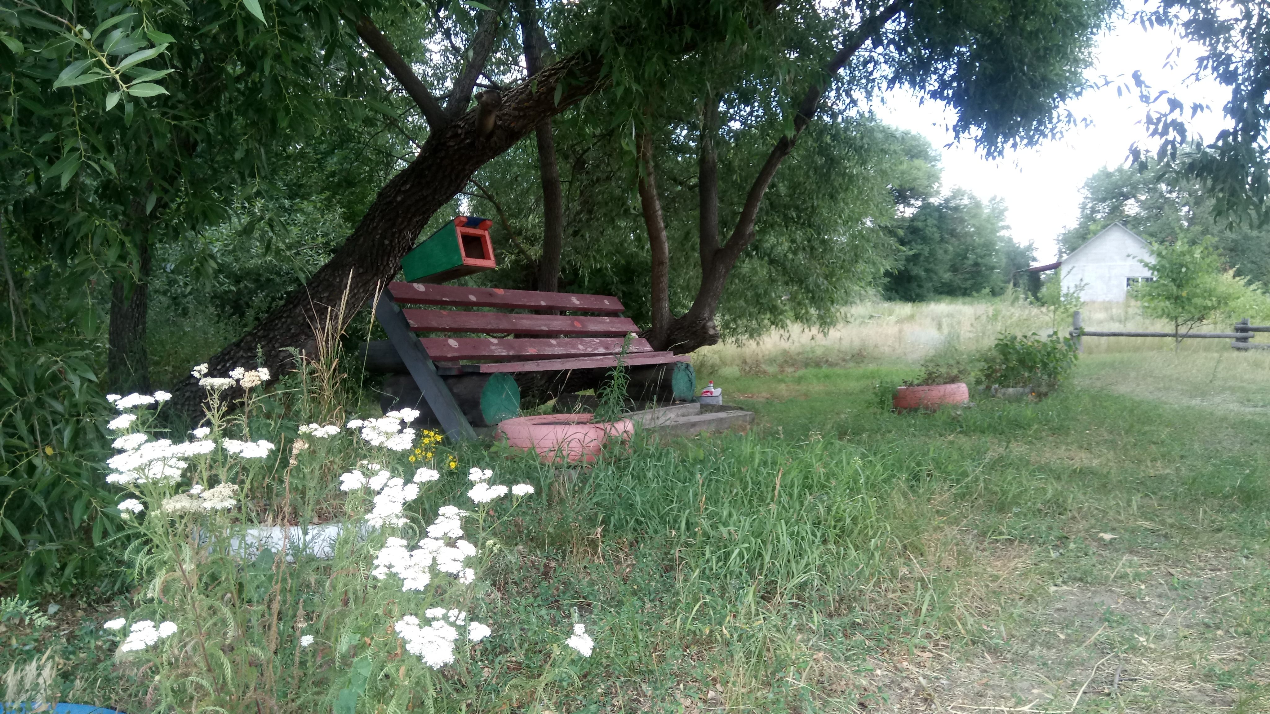 Фото База в Приречном