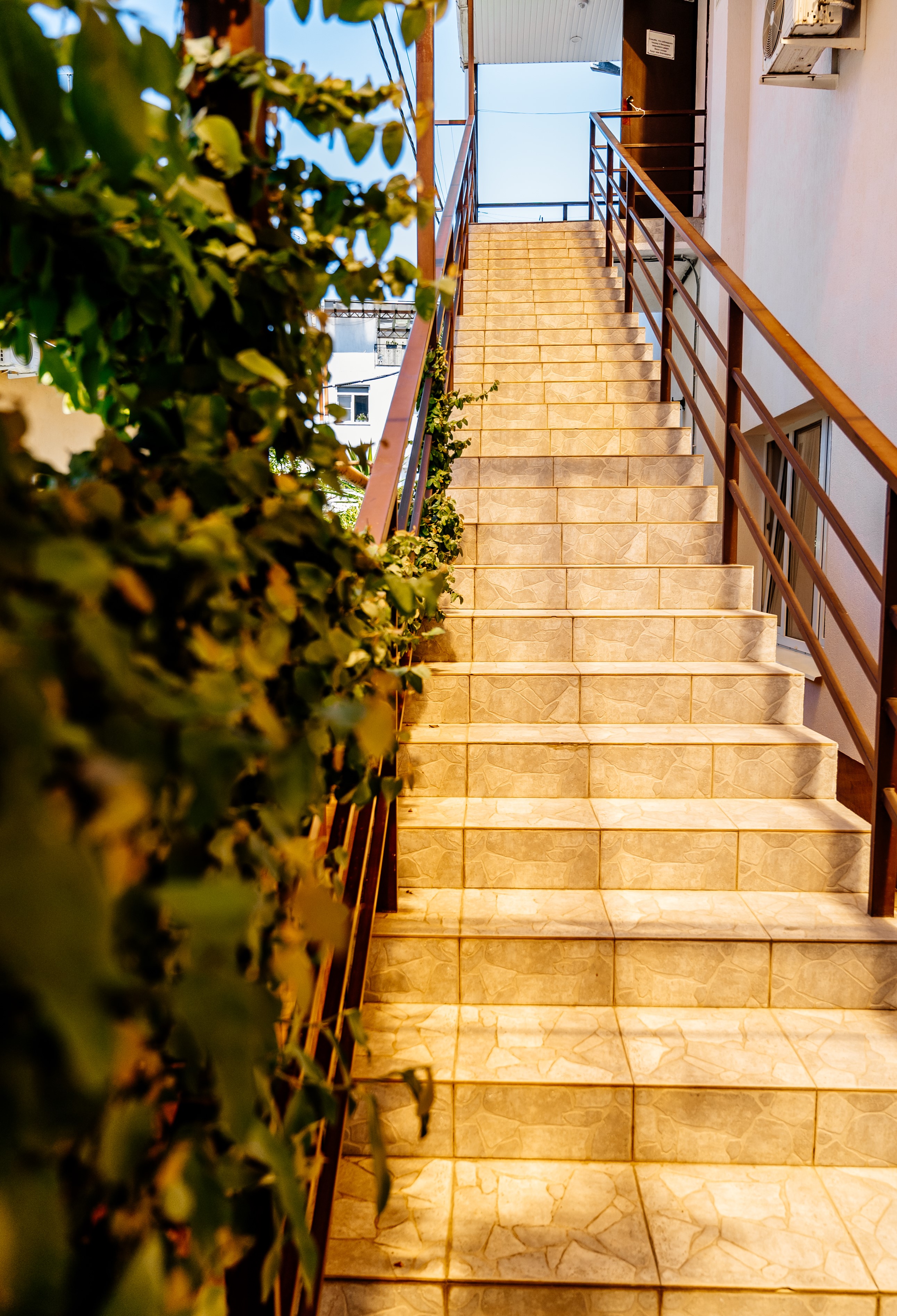 Фото Талассо