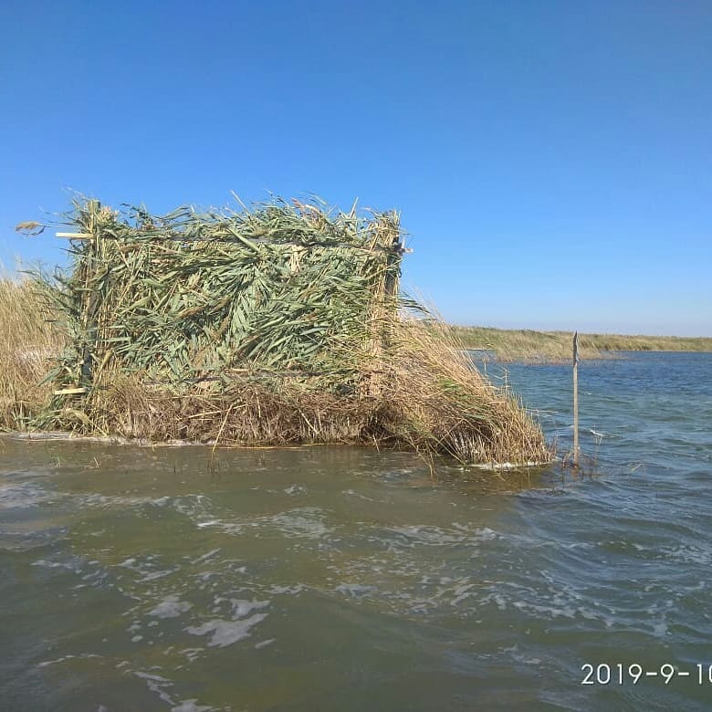 Фото Юность