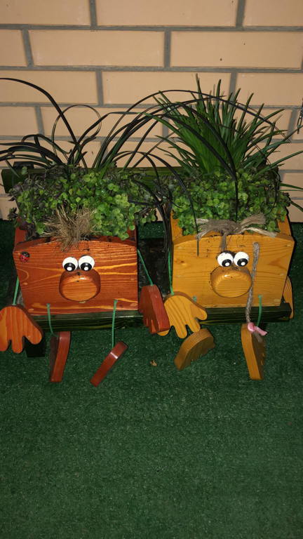 Фото Регата