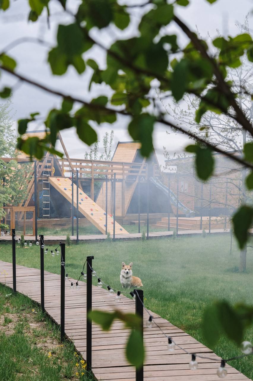 Фото Жёлуди