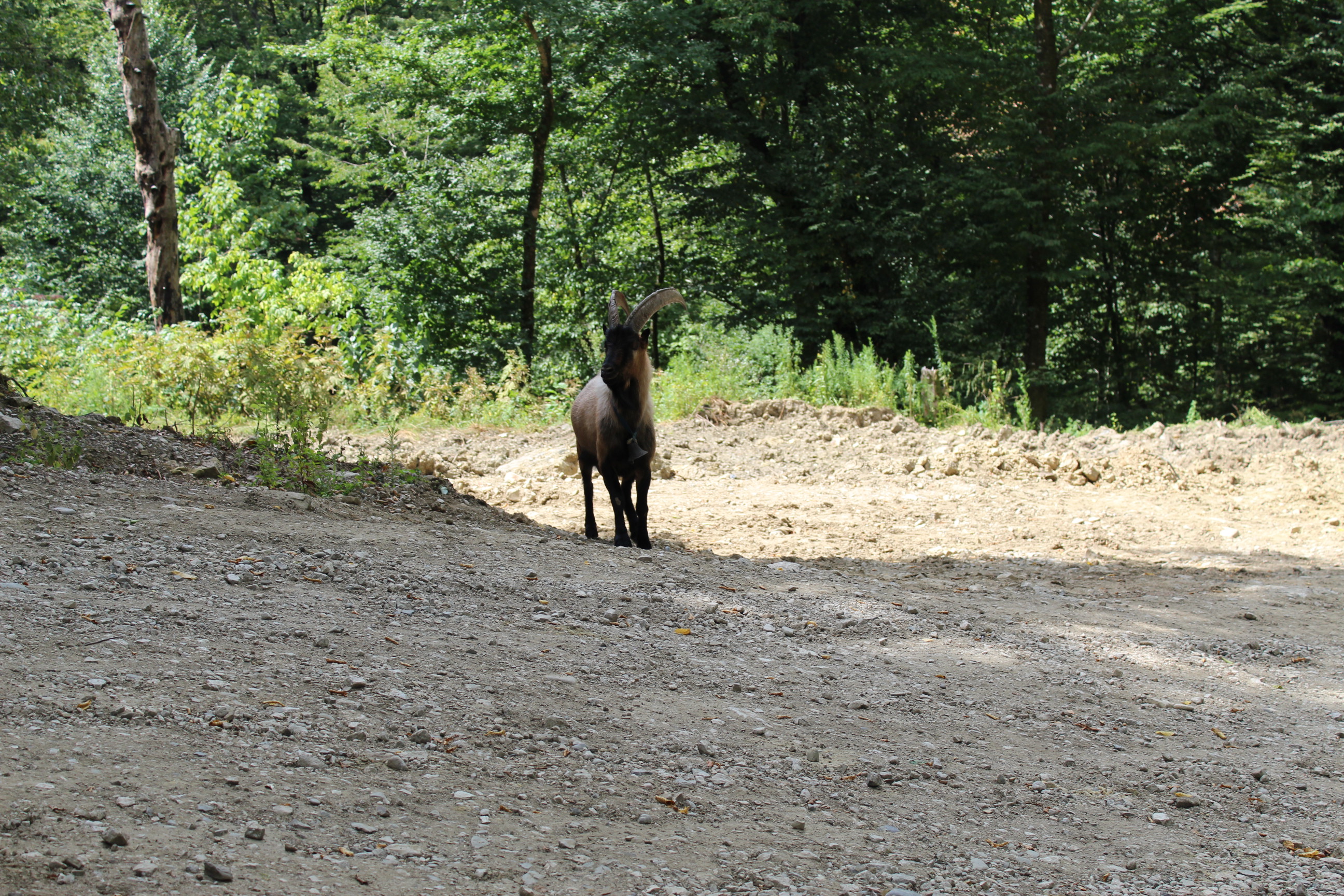 Фото Загородный дом на Мацесте