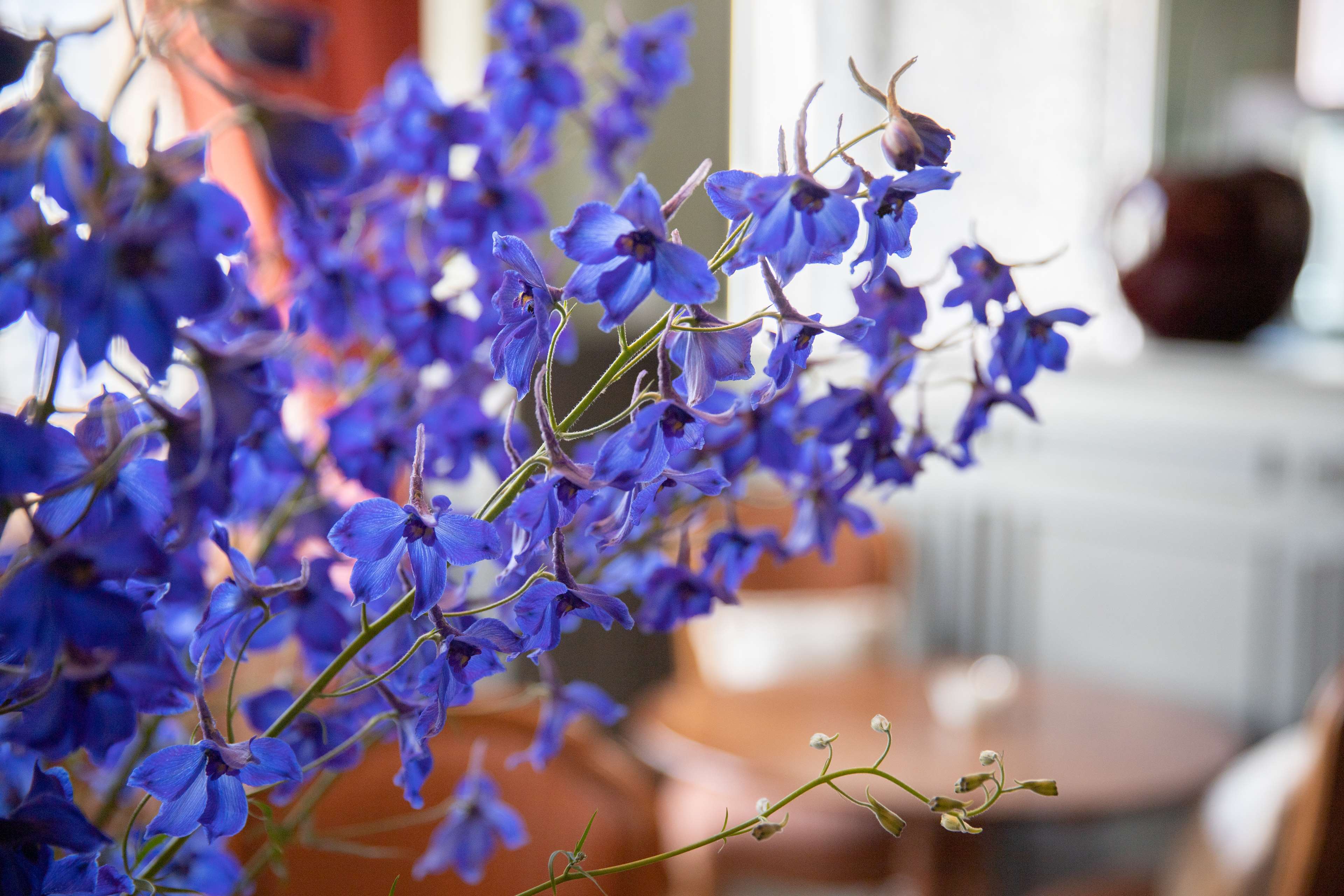 Фото Good Seasons City Centre hotel Den Bosch