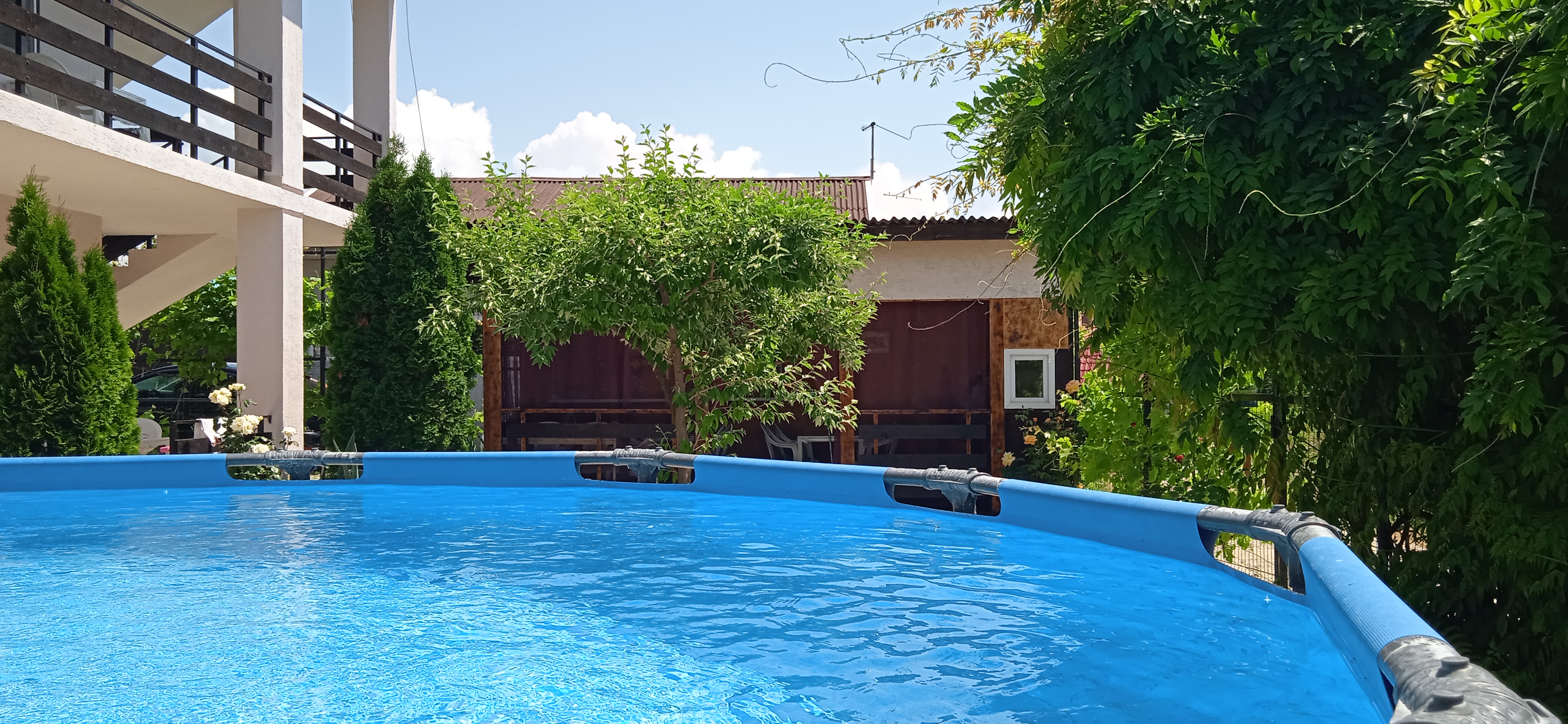 Фото Пчелка