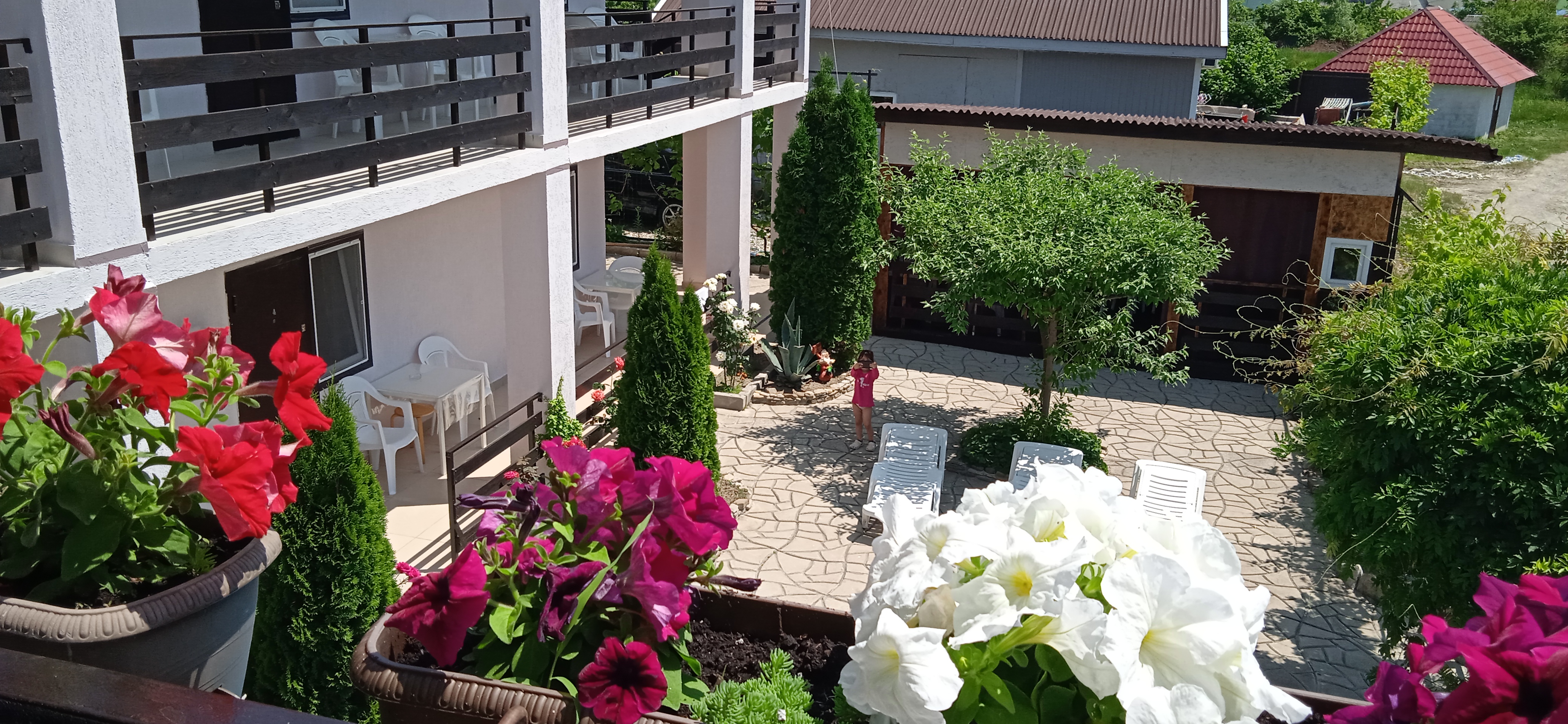 Фото Пчелка