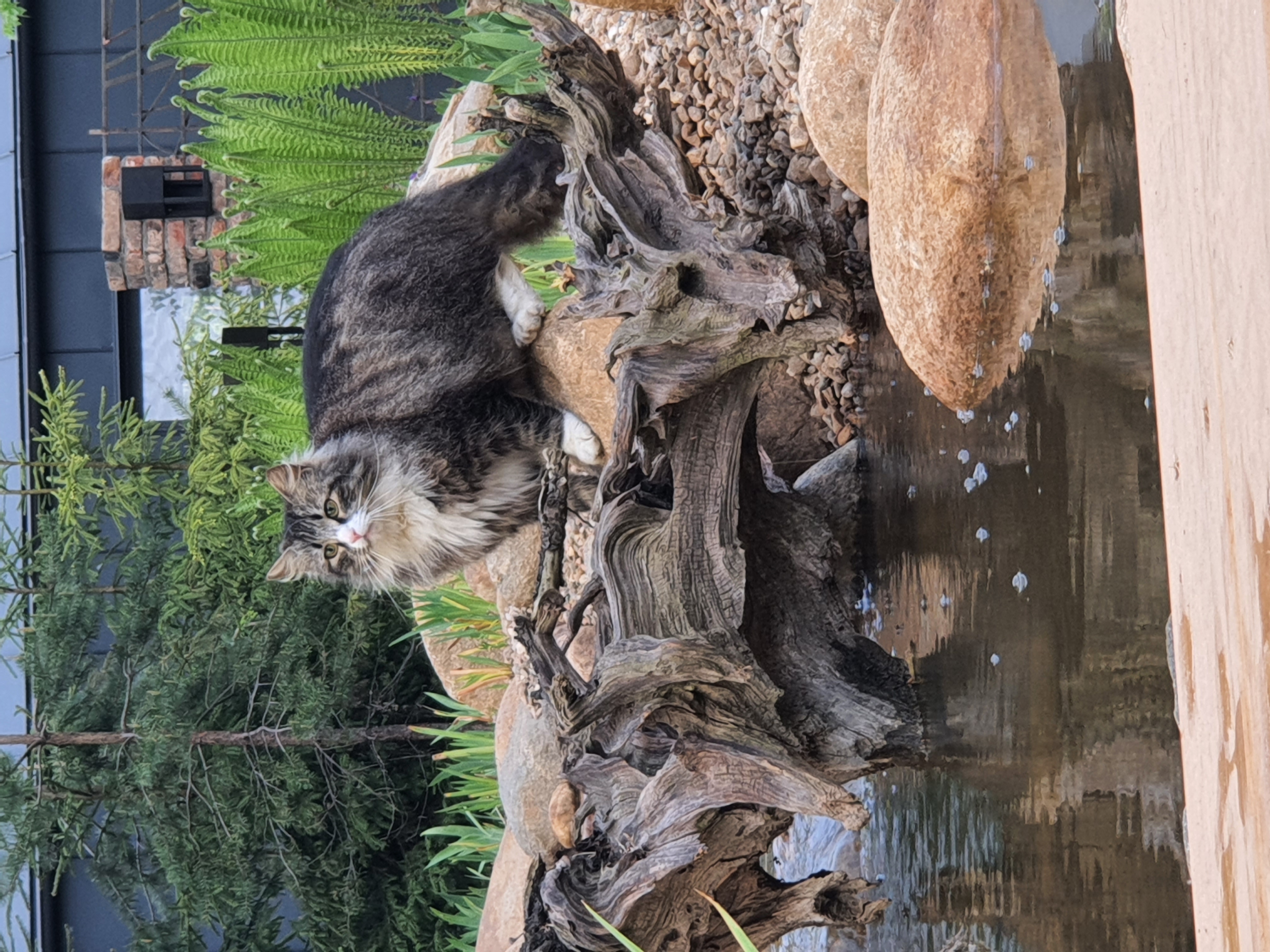 Фото ДомДомВалдай