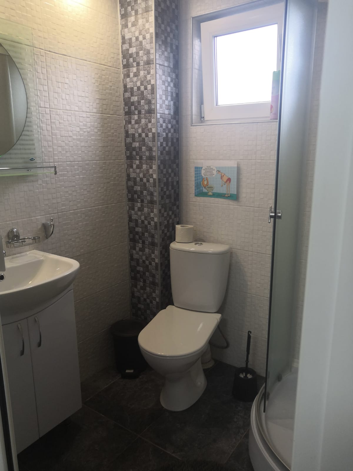 Фото Совёнок