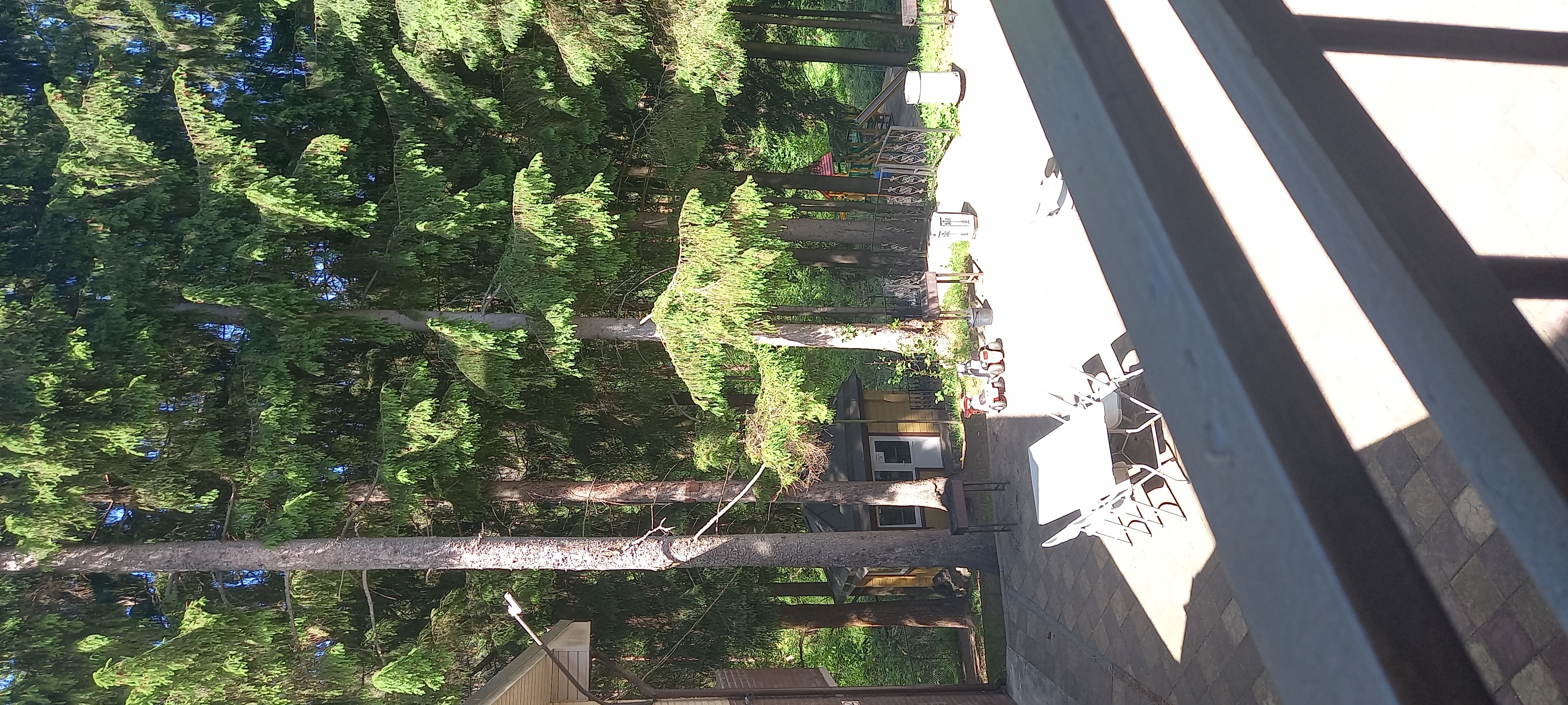 Фото Домик Охотника