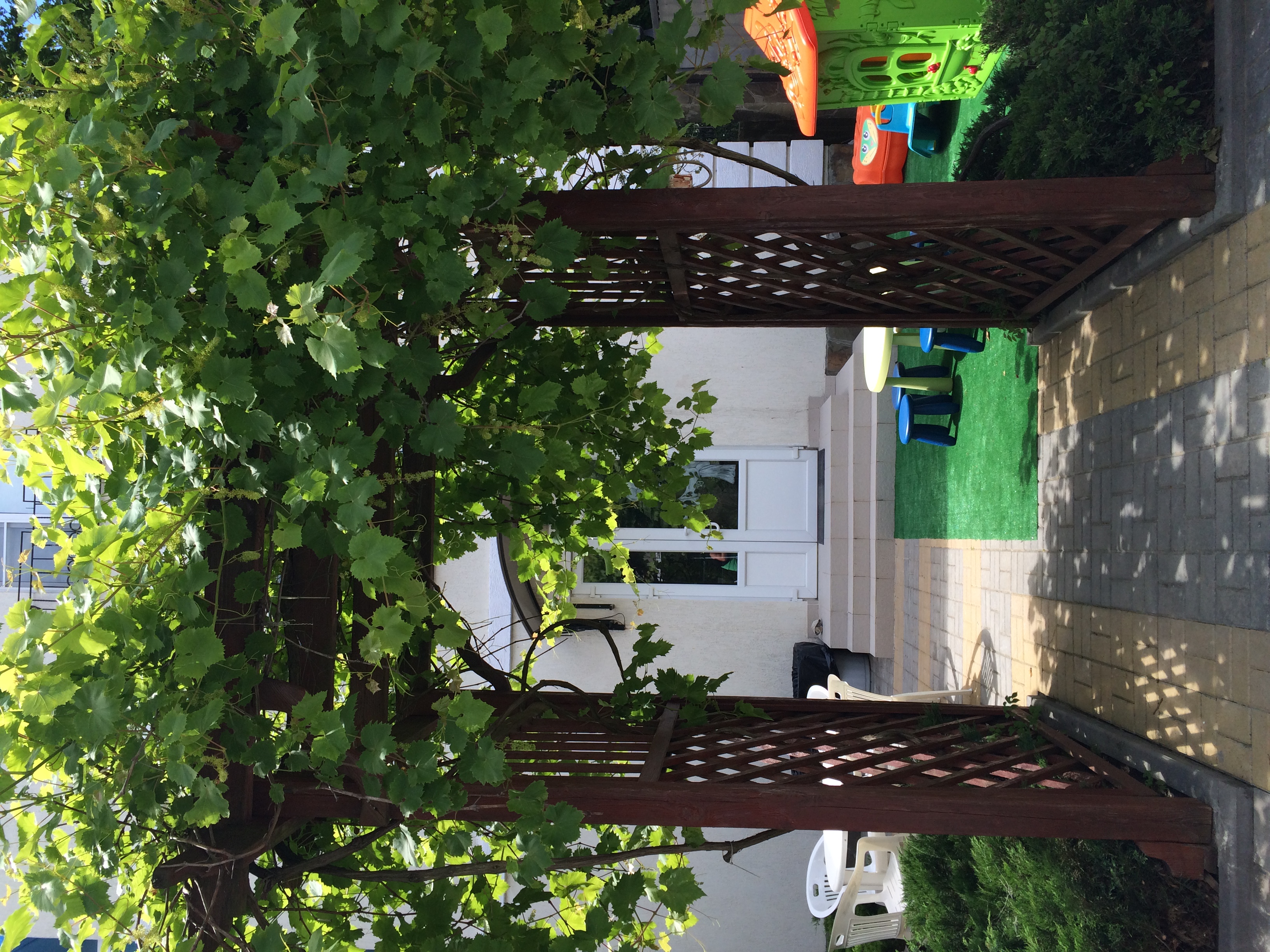 Фото Золотой Каштан