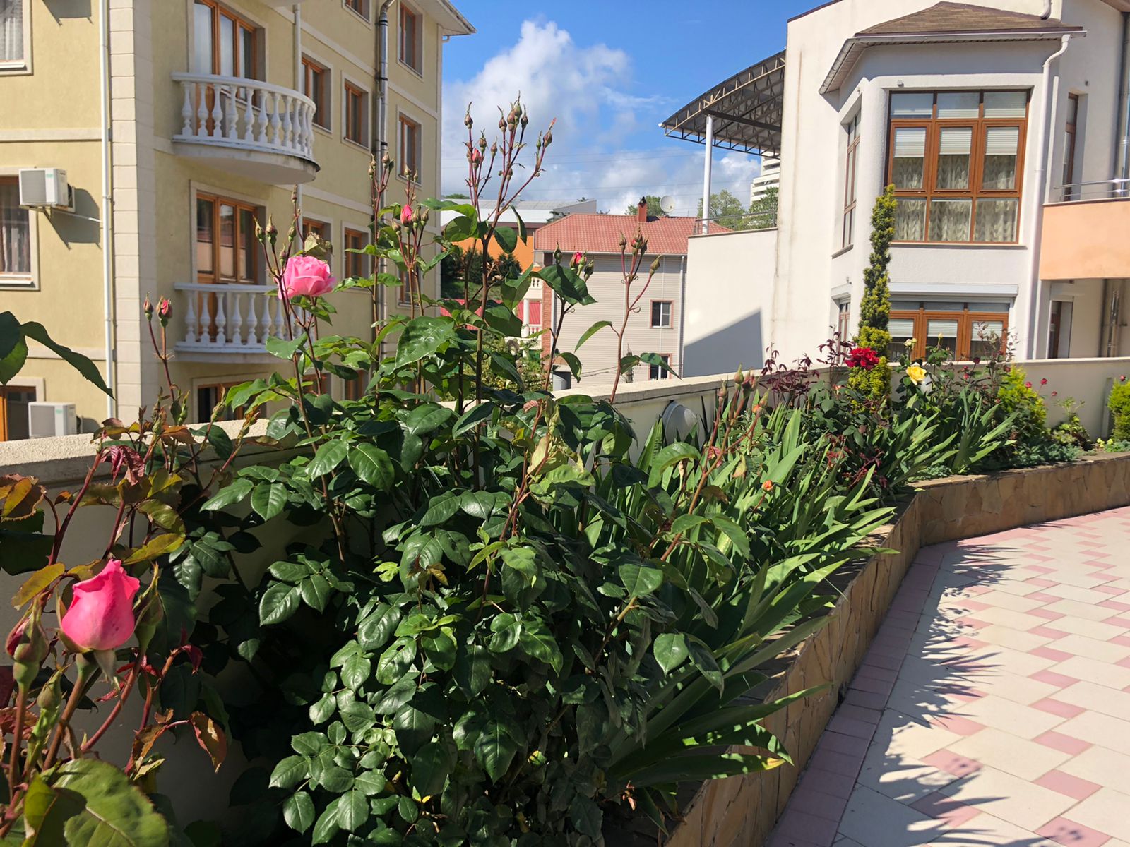 Фото Вилла Бельведер