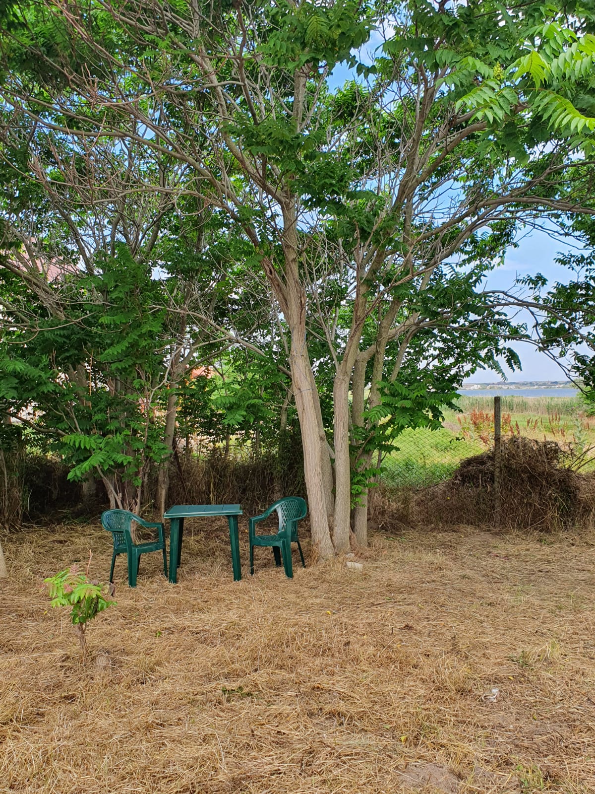 Фото Варенька