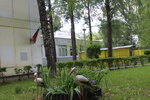 School № 508 (Kasimovskaya Street, 11) ، مركز الرعاية النهارية، رياض الأطفال